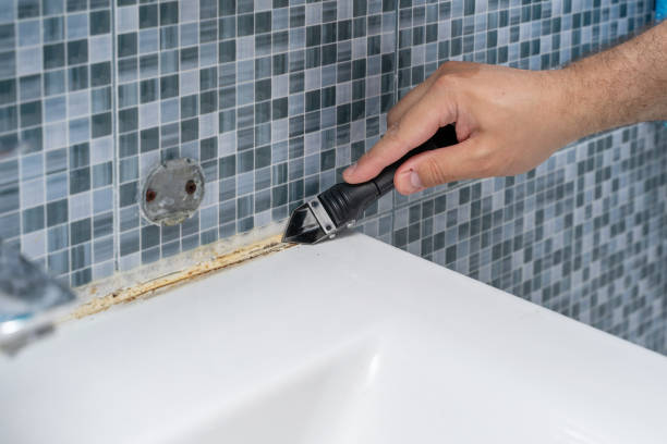 Best Attic Mold Removal  in Scotts Hill, TN